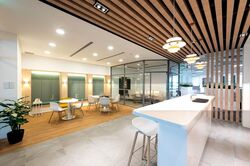 PLUS (D1), Office #570496271